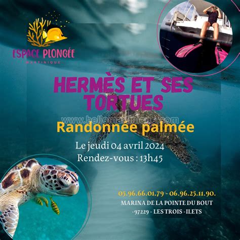 Hermes Martinique in Moers ⇒ in Das Örtliche 